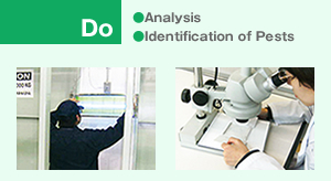 Do ●Analysis ●Identification of Pests