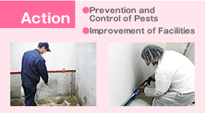 Action ●Prevention and Control of Pests ●Improvement of Facilities ●Report